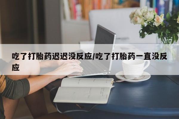 流产药在线购买吃了打胎药迟迟没反应/吃了打胎药一直没反应