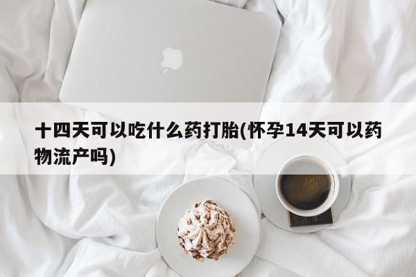 流产药在线购买十四天可以吃什么药打胎(怀孕14天可以药物流产吗)